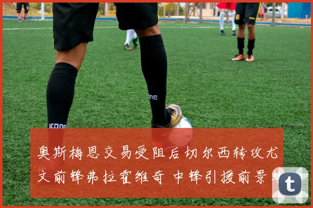 奥斯梅恩交易受阻后切尔西转攻尤文前锋弗拉霍维奇 中锋引援前景与战术契合度分析