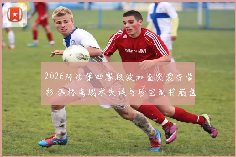 2026环法第四赛段波加查突袭夺黄衫 温格高战术失误与珍宝副将崩盘迹象